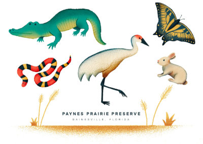 Payne’s Prairie Sticker Set